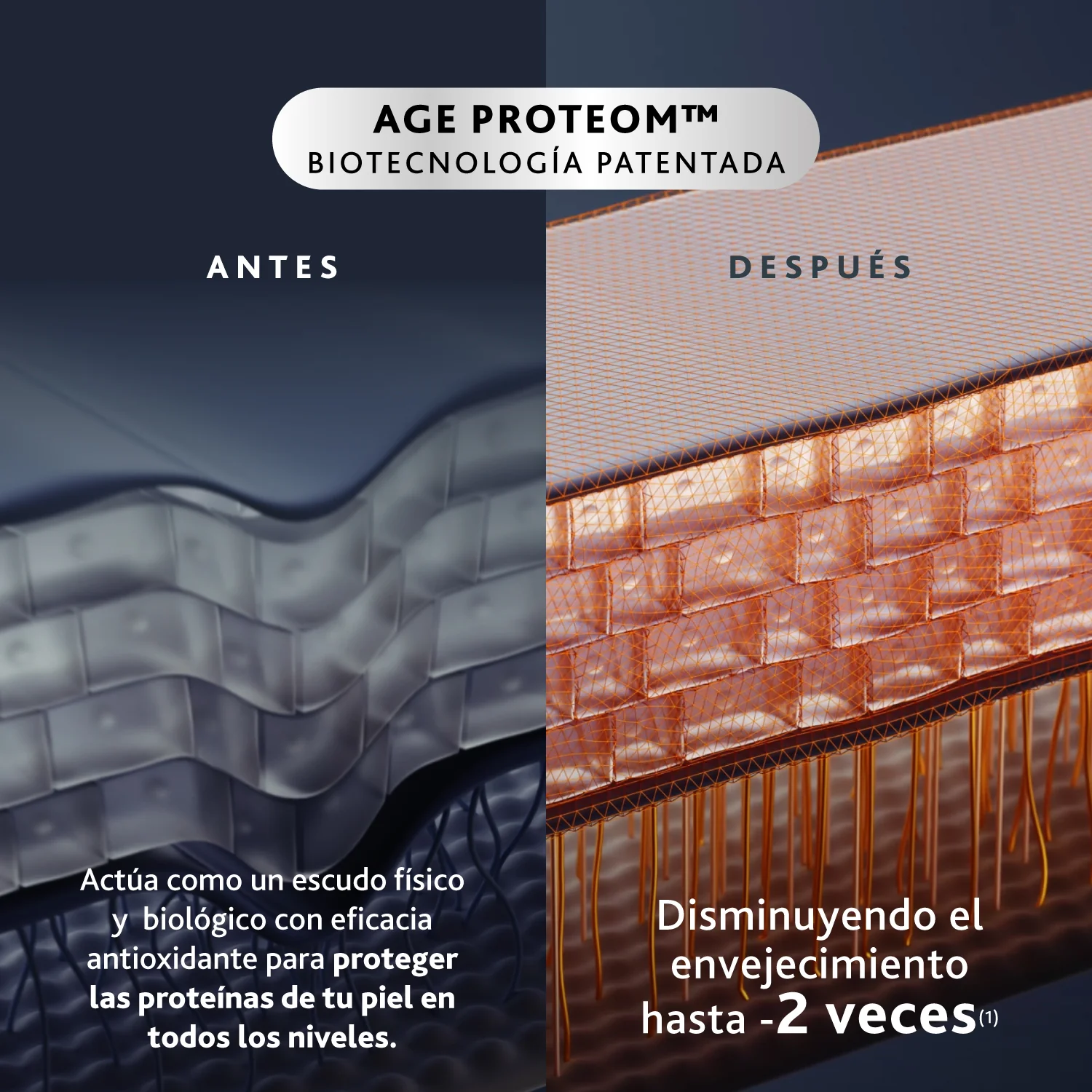 Imagen del producto 8